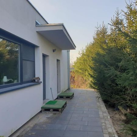 Maly Apartament W Zieleni Blisko Jeziora Środa Wielkopolska Eksteriør bilde
