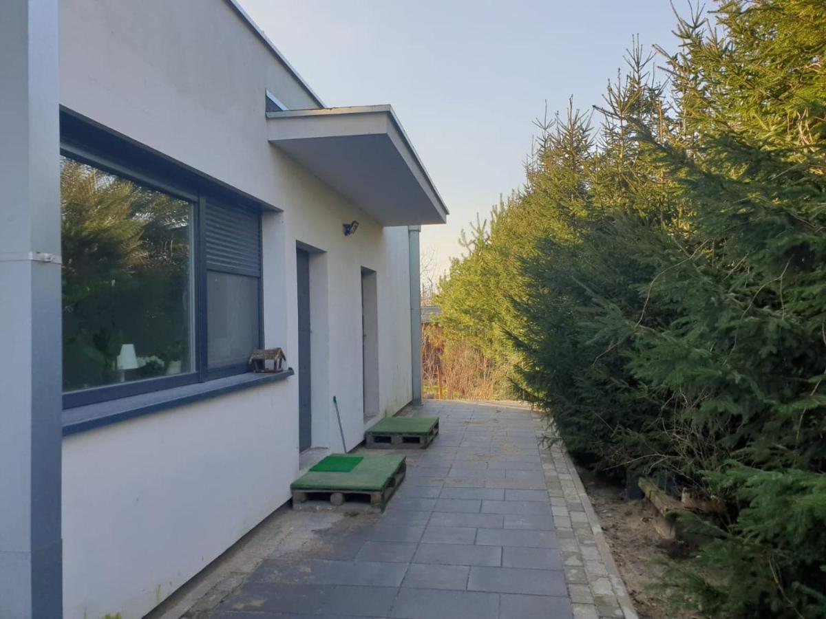 Maly Apartament W Zieleni Blisko Jeziora Środa Wielkopolska Eksteriør bilde